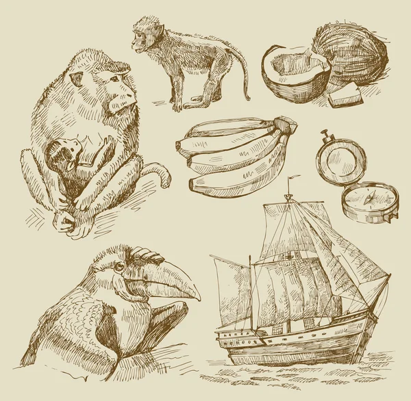 Colección náutica — Archivo Imágenes Vectoriales