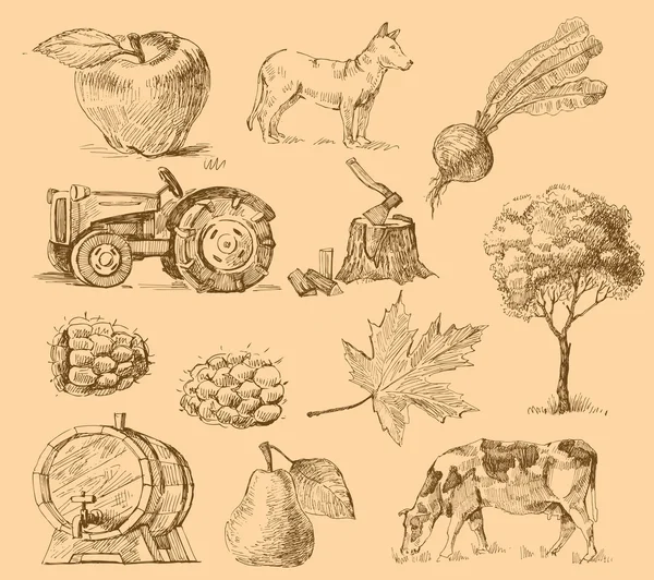 Gambar koleksi buatan tangan pertanian - Stok Vektor