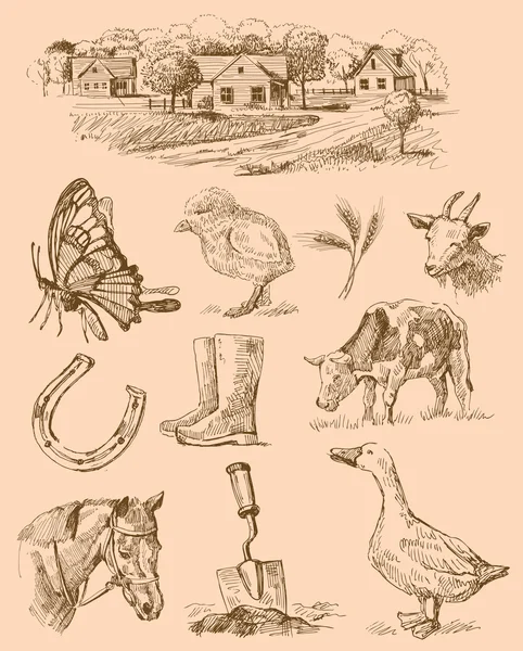 Kolekcja ręcznie rysunek gospodarstwa — Wektor stockowy