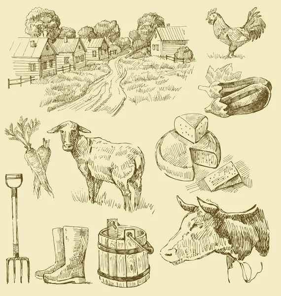 Desenho feito à mão da coleção da fazenda — Vetor de Stock