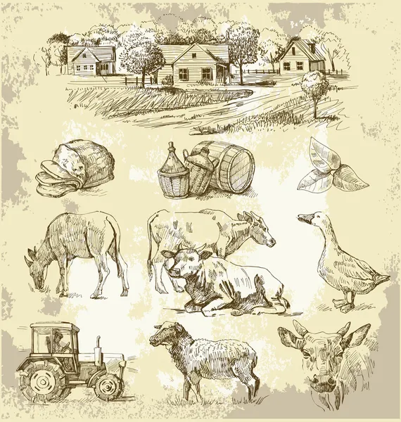 Сельскохозяйственный рисунок ручной работы — стоковый вектор