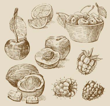 Fruit - illustration clipart