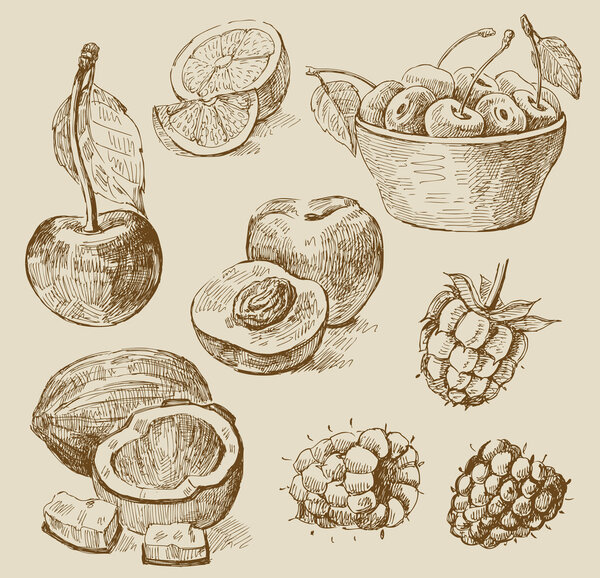 Fruit - illustration