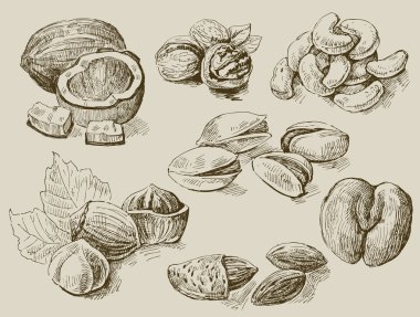 Set of nuts clipart