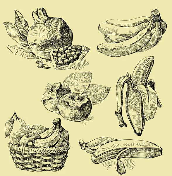 Fruits mis — Image vectorielle