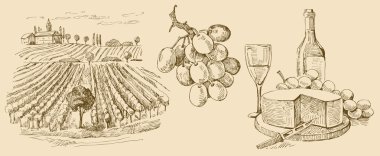 vineyard-original hand drawn collection clipart