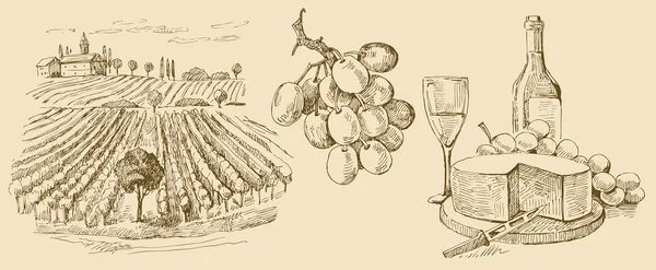 Колекція мальованих рук виноградників — стоковий вектор