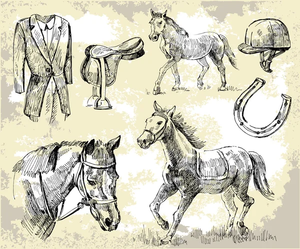 Formes vectorielles de chevaux — Image vectorielle