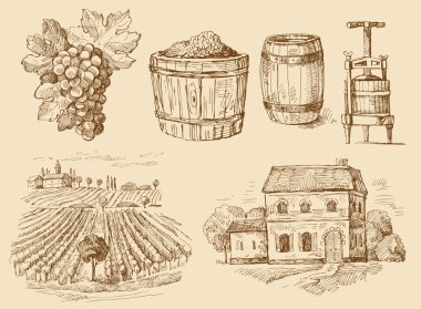 Vineyard-original hand drawn collection