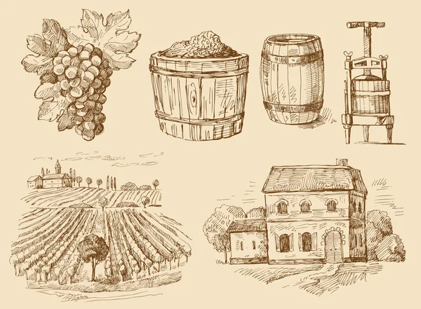 Vinice originální ručně kreslenou kolekce — Stockový vektor