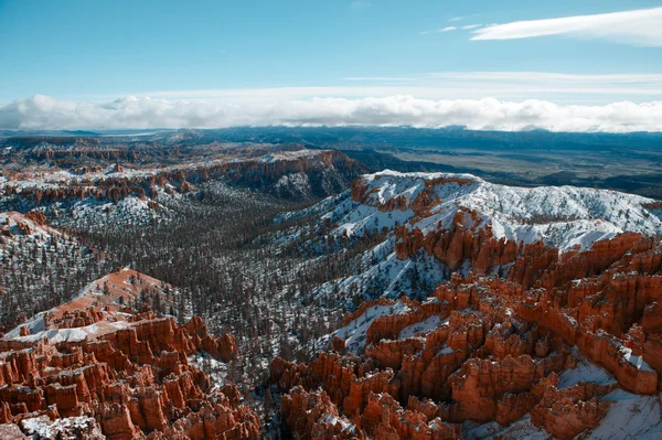 Bryce Canyon, Amerikai Egyesült Államok — Stock Fotó