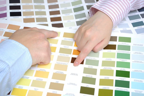 Business med farveprøver til at bestemme farven på kontoret - Stock-foto