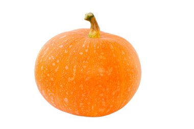 Orange pumpkin clipart