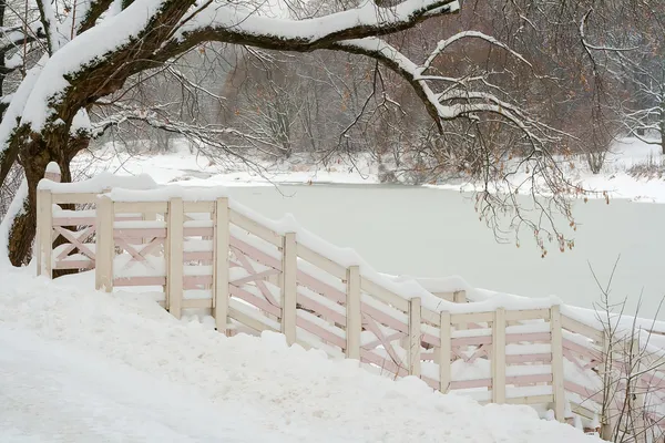 Krajobraz zimowy. — Zdjęcie stockowe