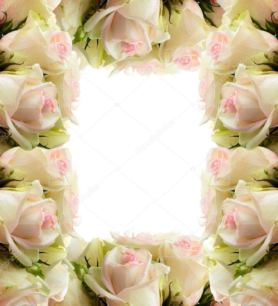 White roses frame border — Stock Photo © alla_zotova #9381006