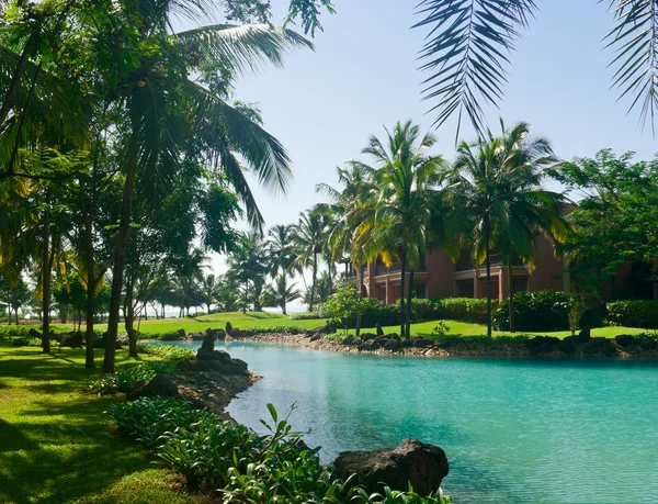 Ochtend in luxe tropisch resort in Zuid-goa. — Stockfoto