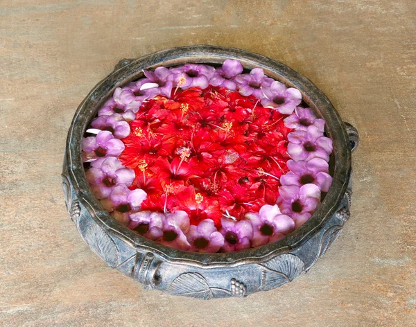 vazo ile Ayurveda Spa taze orkide