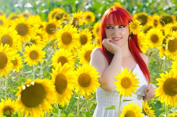 Kvetoucí slunečnicové pole — Stock fotografie