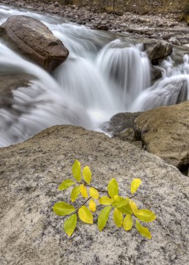 Sunwapta Waterfall Alberta Canada clipart