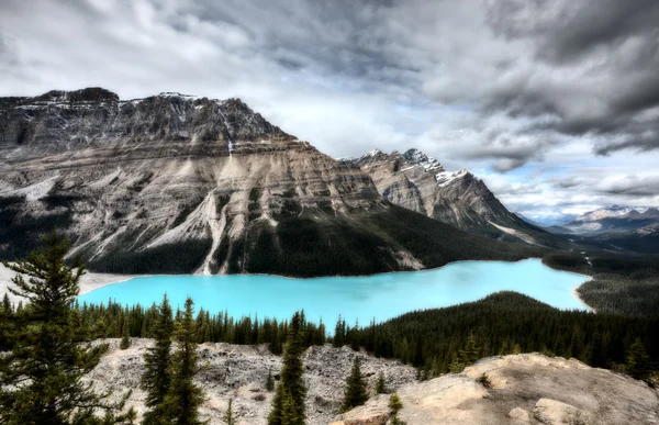 Peyto lake alberta Kanada — Stockfoto