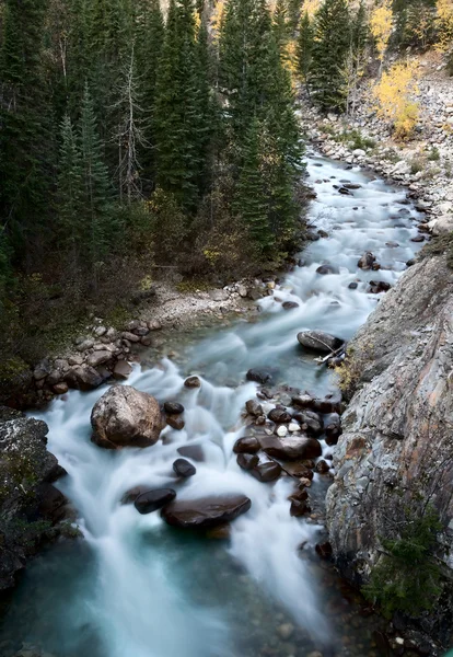 Athabasca River Rocky Mountains — Stock fotografie