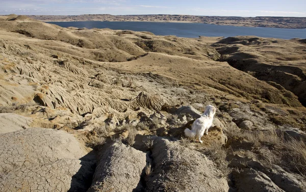 stock image Sand Castles of Diefenbaker Lake