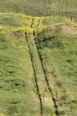 Prairie oldtrail