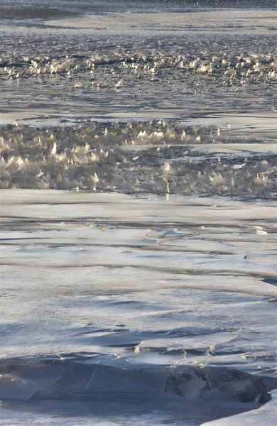 Cristaux de glace se formant sur le lac — Photo
