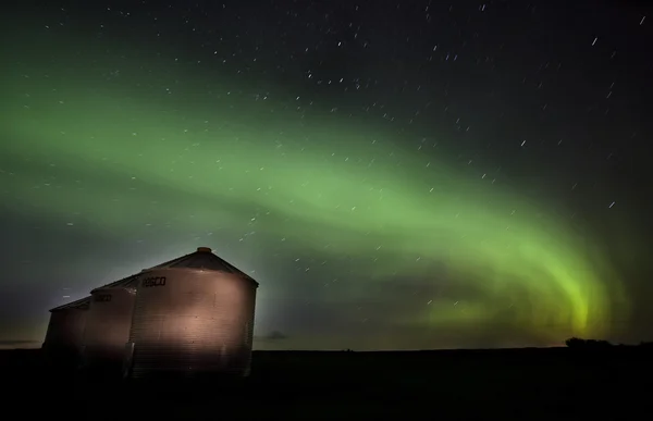 Kuzey ışıkları saskatchewan Kanada — Stok fotoğraf