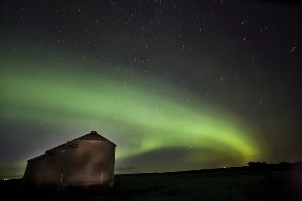 Aurores boréales Saskatchewan Canada — Photo