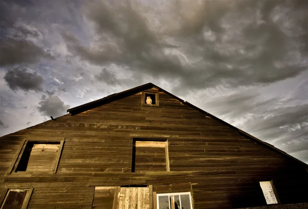 Εγκαταλελειμμένο αγρόκτημα σπίτι μεγάλη κερασφόρος κουκουβάγια — Φωτογραφία Αρχείου