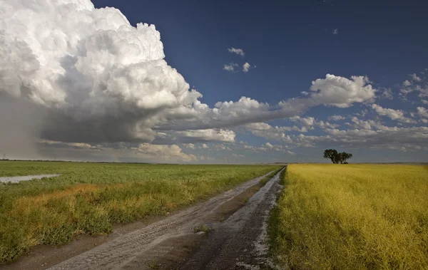 Prairie dolu fırtınası ve gökkuşağı — Stok fotoğraf