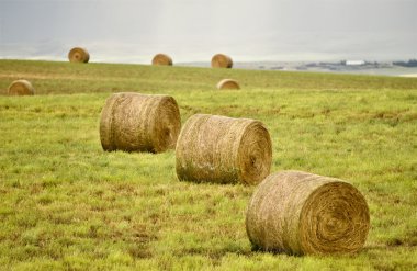 kırsal saskatchewan