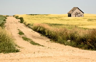 kırsal saskatchewan