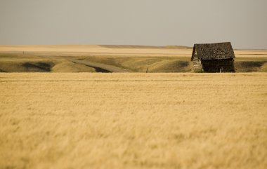 kırsal saskatchewan