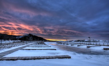 Selvi hills alberta