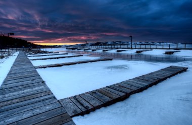 Selvi hills alberta