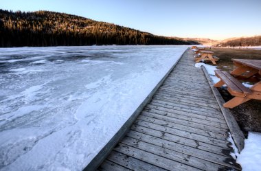 Selvi hills alberta