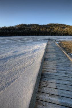 Selvi hills alberta