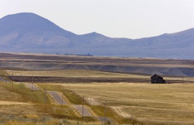 Güney alberta kırsal sahne çayır