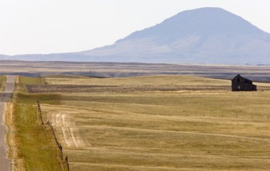 Güney alberta kırsal sahne çayır