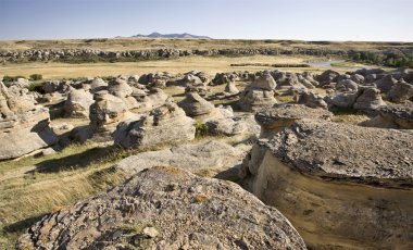 süt Nehri alberta badlands