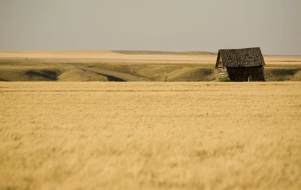 Saskatchewan rural —  Fotos de Stock