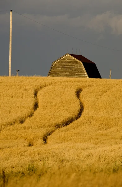 Rural Saskatchewan — Stock Photo, Image