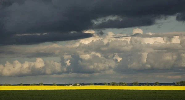 Saskatchewan rural — Foto de Stock