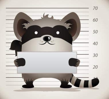 Raccoon Mug Shot clipart