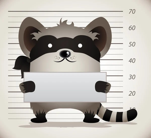 Raccoon Mug Shot — Stock Vector