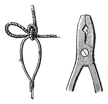 Res. 17. karanfil, Res. 18. pense için mühürleme, antika gravür.