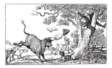 Dr. Syntax chased by a bull vintage engraving. clipart