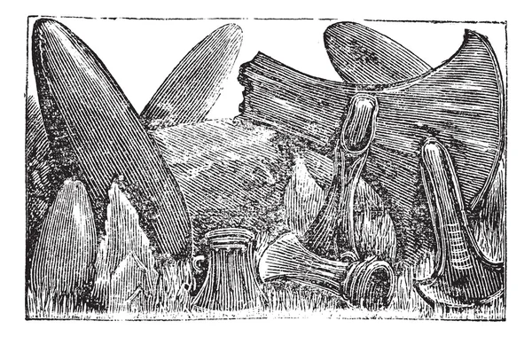 ケルト人ビンテージ彫刻のグループ — ストックベクタ